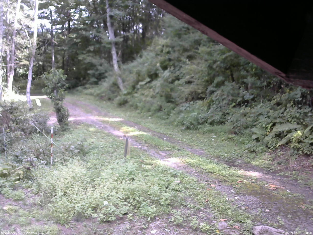 長野県菅平高原 ゆたか山荘 東側(坂下) 2025/09/07 13:15