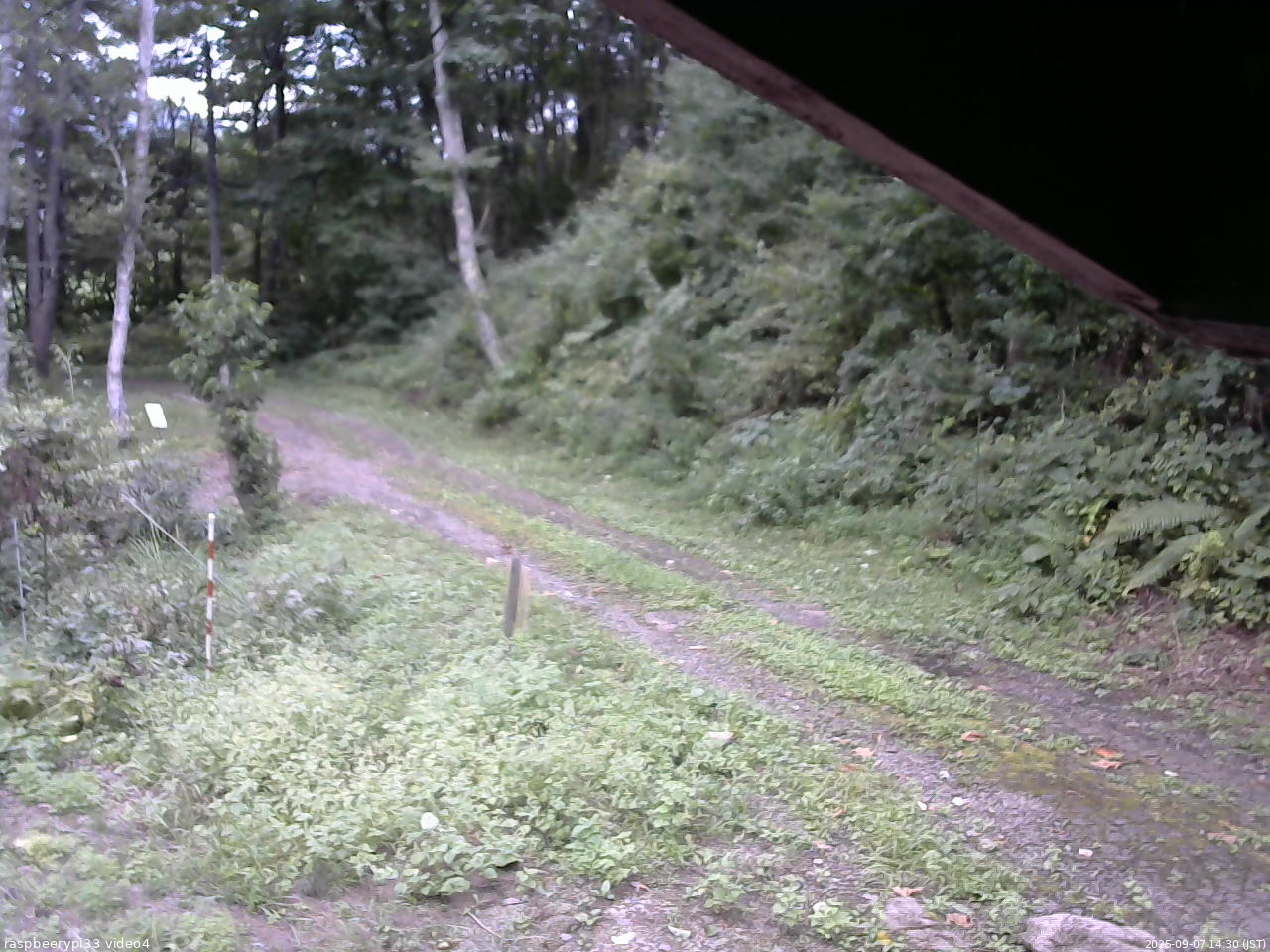 長野県菅平高原 ゆたか山荘 東側(坂下) 2025/09/07 14:30