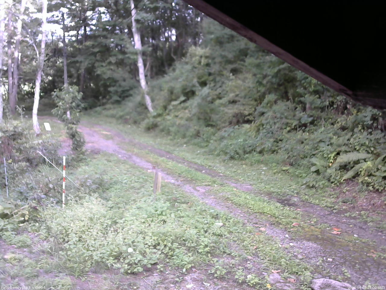 長野県菅平高原 ゆたか山荘 東側(坂下) 2025/09/07 15:00