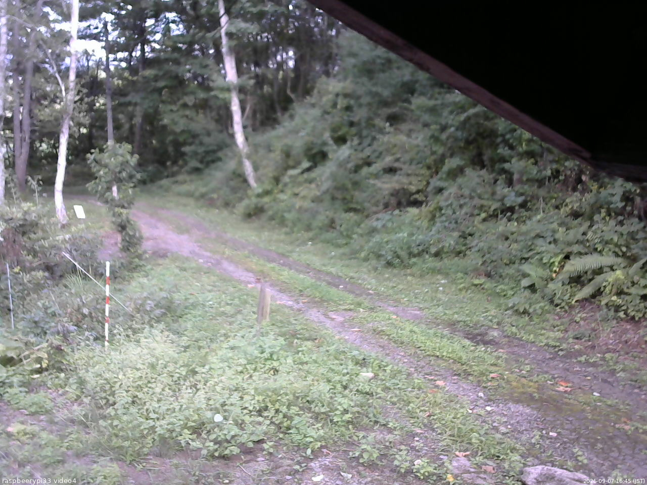 長野県菅平高原 ゆたか山荘 東側(坂下) 2025/09/07 16:45