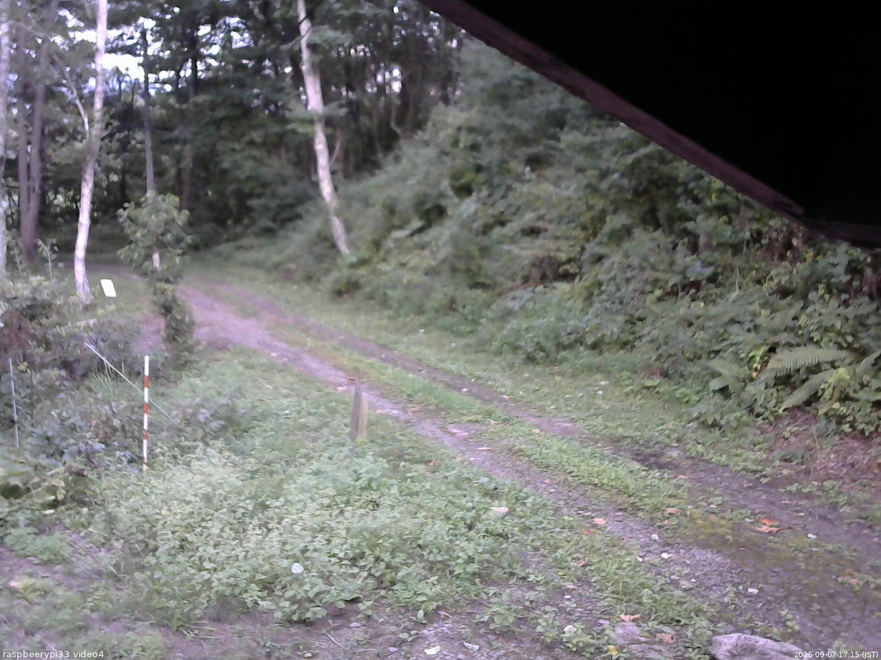 長野県菅平高原 ゆたか山荘 東側(坂下) 2025/09/07 17:15