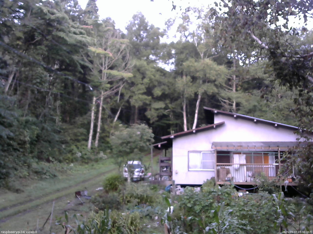 長野県菅平高原 ゆたか山荘 西側(坂上) 2025/09/07 05:30