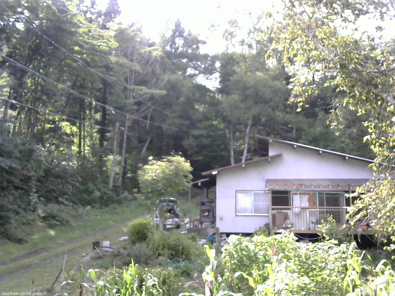 長野県菅平高原 ゆたか山荘 西側(坂上) 2025/09/07 14:45