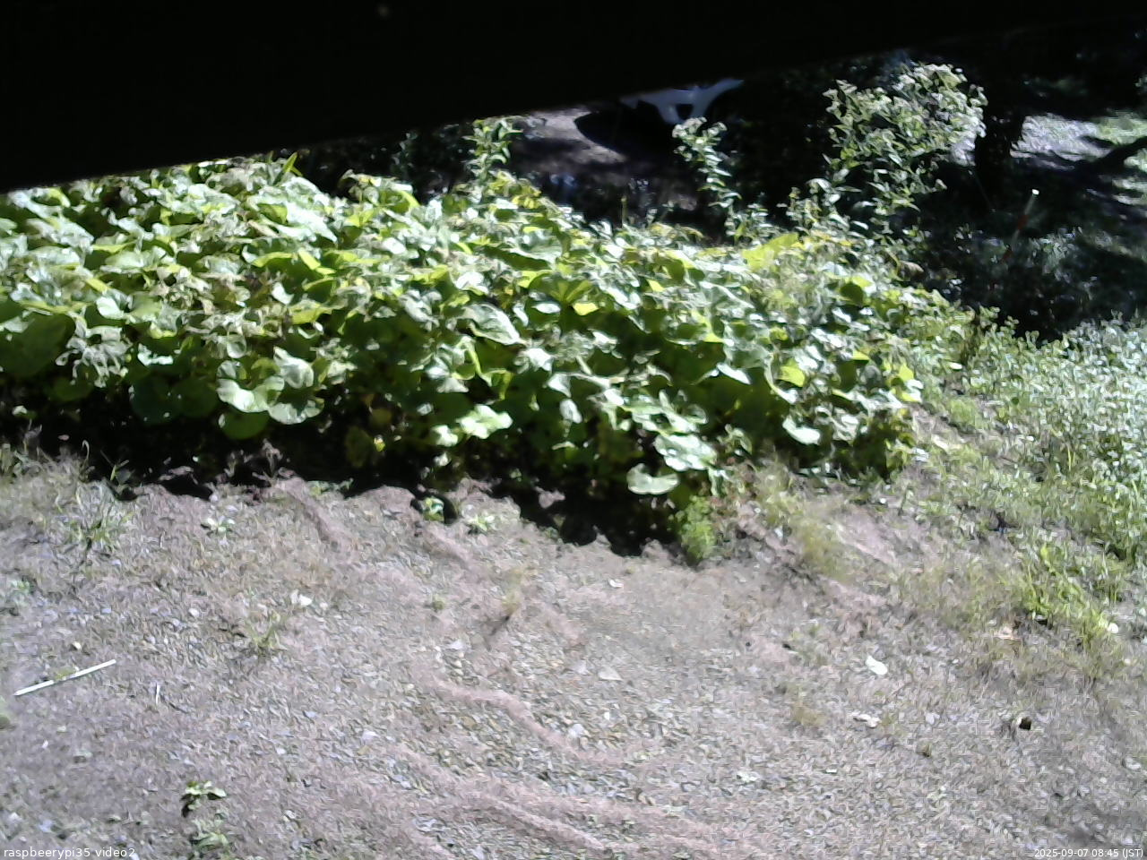 長野県菅平高原 ゆたか山荘 駐車場 2025/09/07 08:45