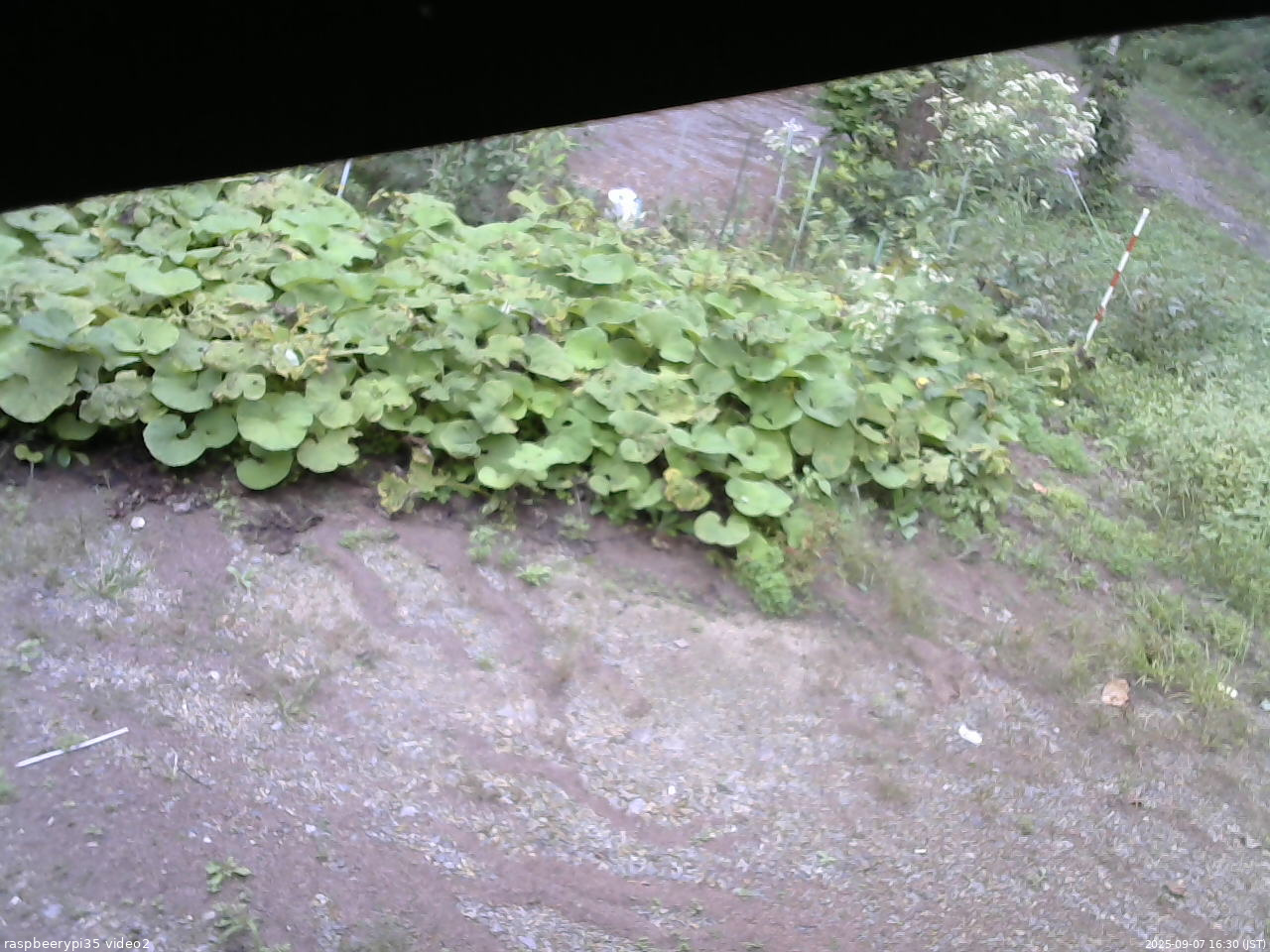 長野県菅平高原 ゆたか山荘 駐車場 2025/09/07 16:30