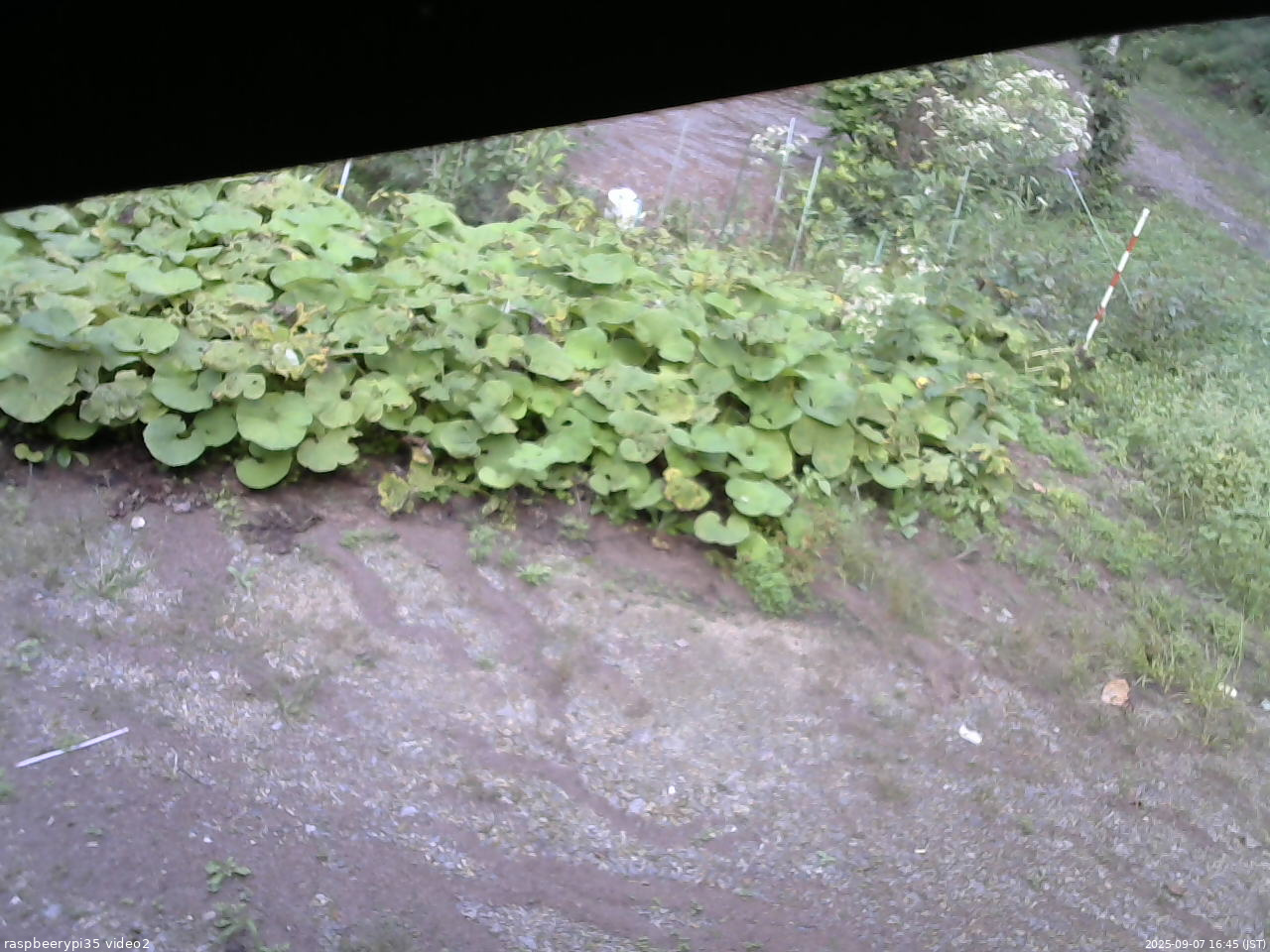 長野県菅平高原 ゆたか山荘 駐車場 2025/09/07 16:45