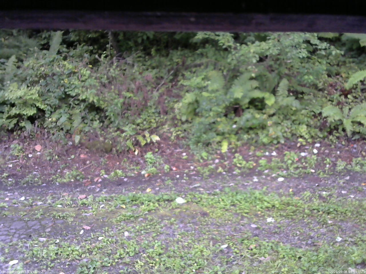 長野県菅平高原 ゆたか山荘 南側 2025/09/08 05:45