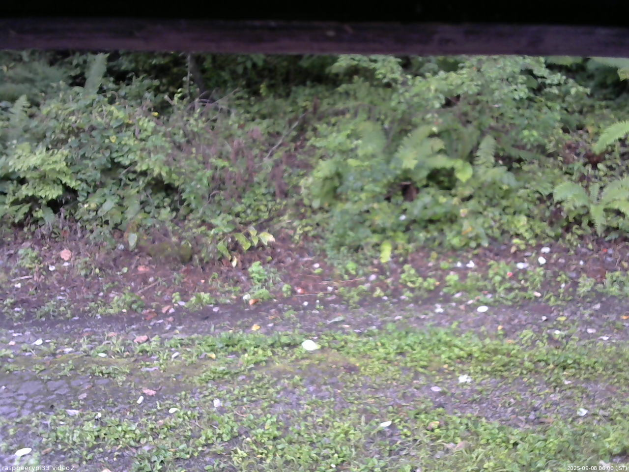 長野県菅平高原 ゆたか山荘 南側 2025/09/08 06:00