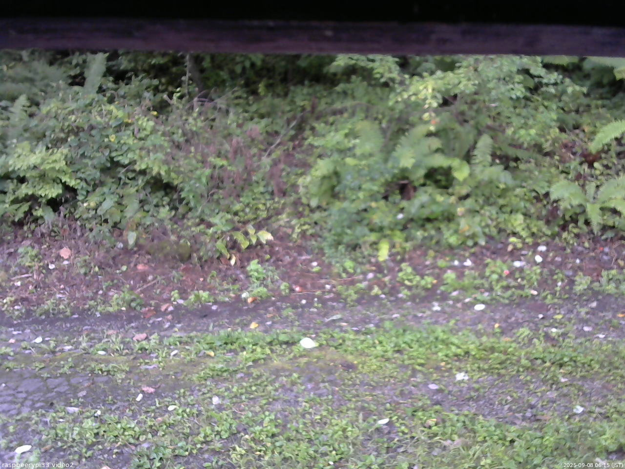 長野県菅平高原 ゆたか山荘 南側 2025/09/08 06:15