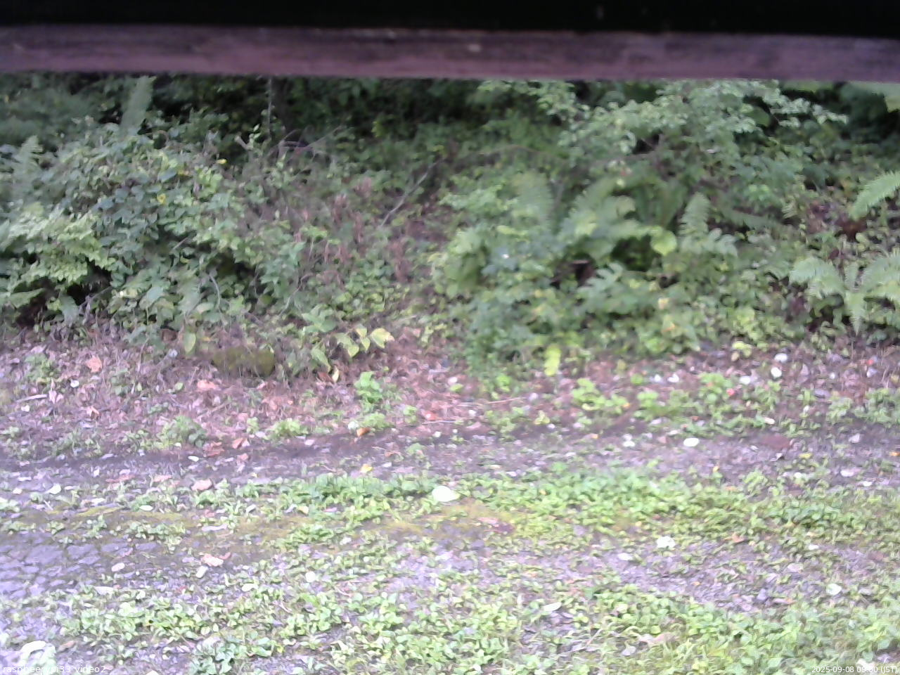 長野県菅平高原 ゆたか山荘 南側 2025/09/08 09:00