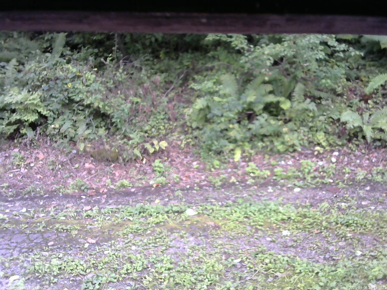 長野県菅平高原 ゆたか山荘 南側 2025/09/08 10:15