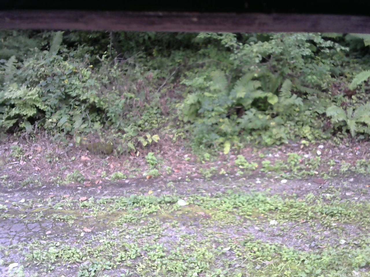 長野県菅平高原 ゆたか山荘 南側 2025/09/08 11:15