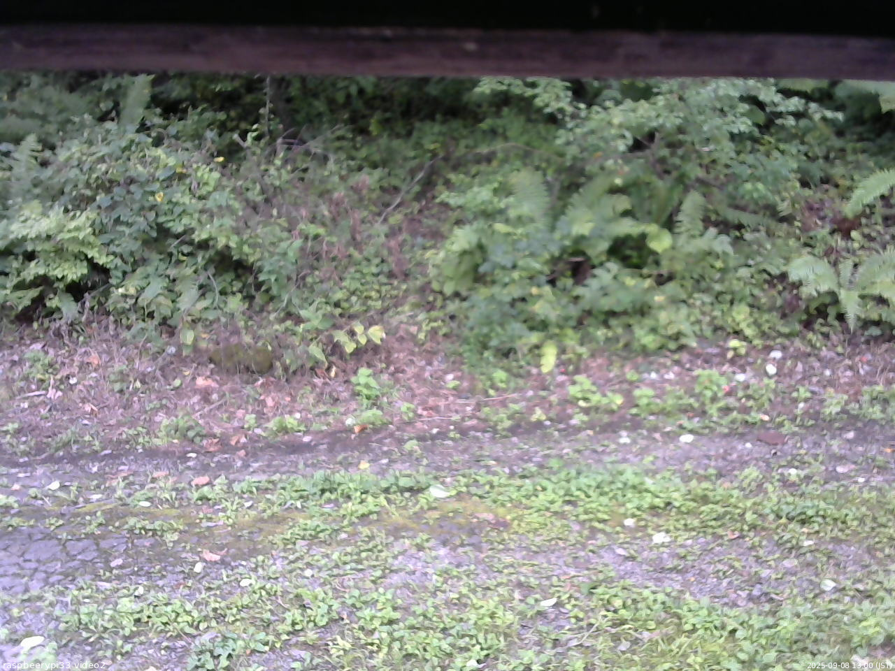 長野県菅平高原 ゆたか山荘 南側 2025/09/08 13:00