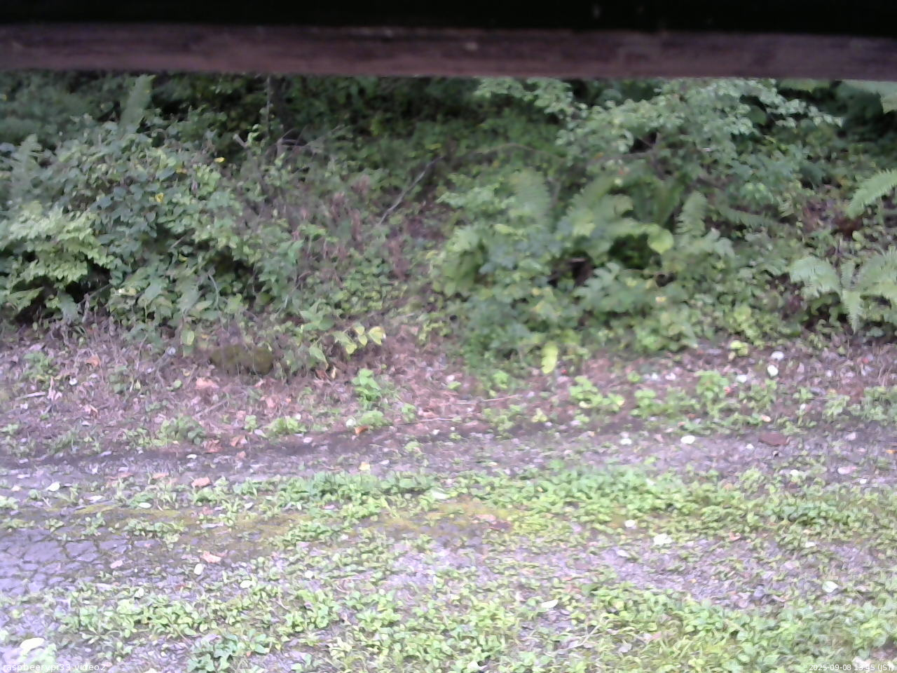 長野県菅平高原 ゆたか山荘 南側 2025/09/08 13:45