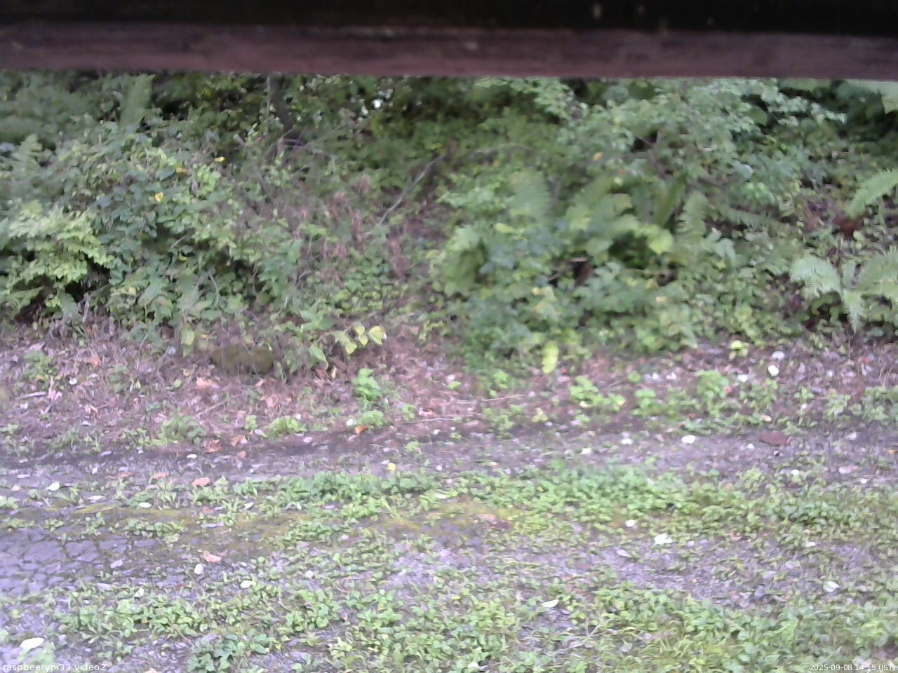 長野県菅平高原 ゆたか山荘 南側 2025/09/08 14:15