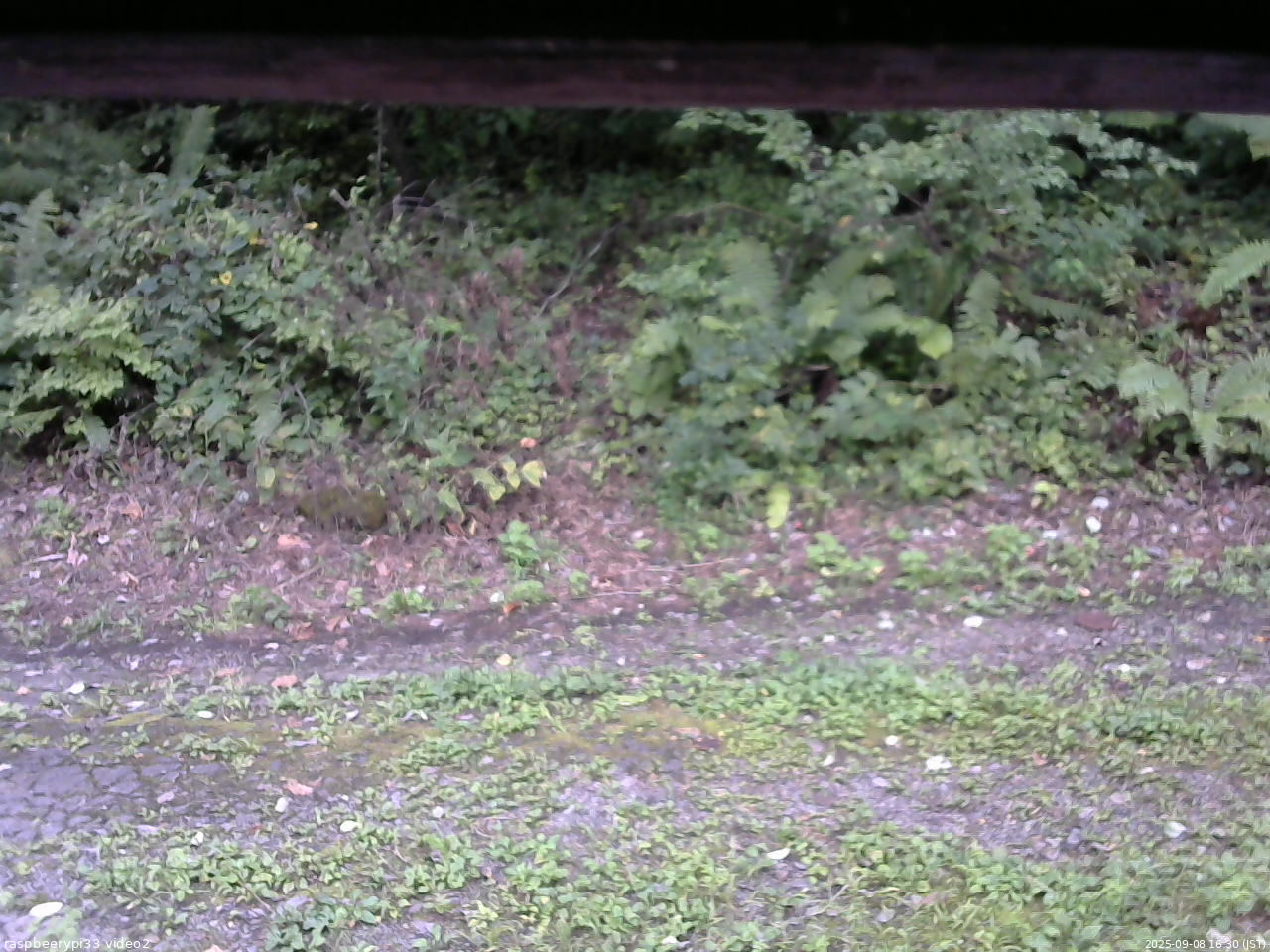 長野県菅平高原 ゆたか山荘 南側 2025/09/08 16:30