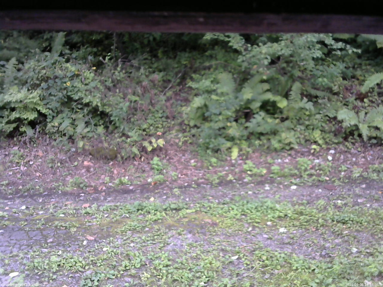 長野県菅平高原 ゆたか山荘 南側 2025/09/08 16:45