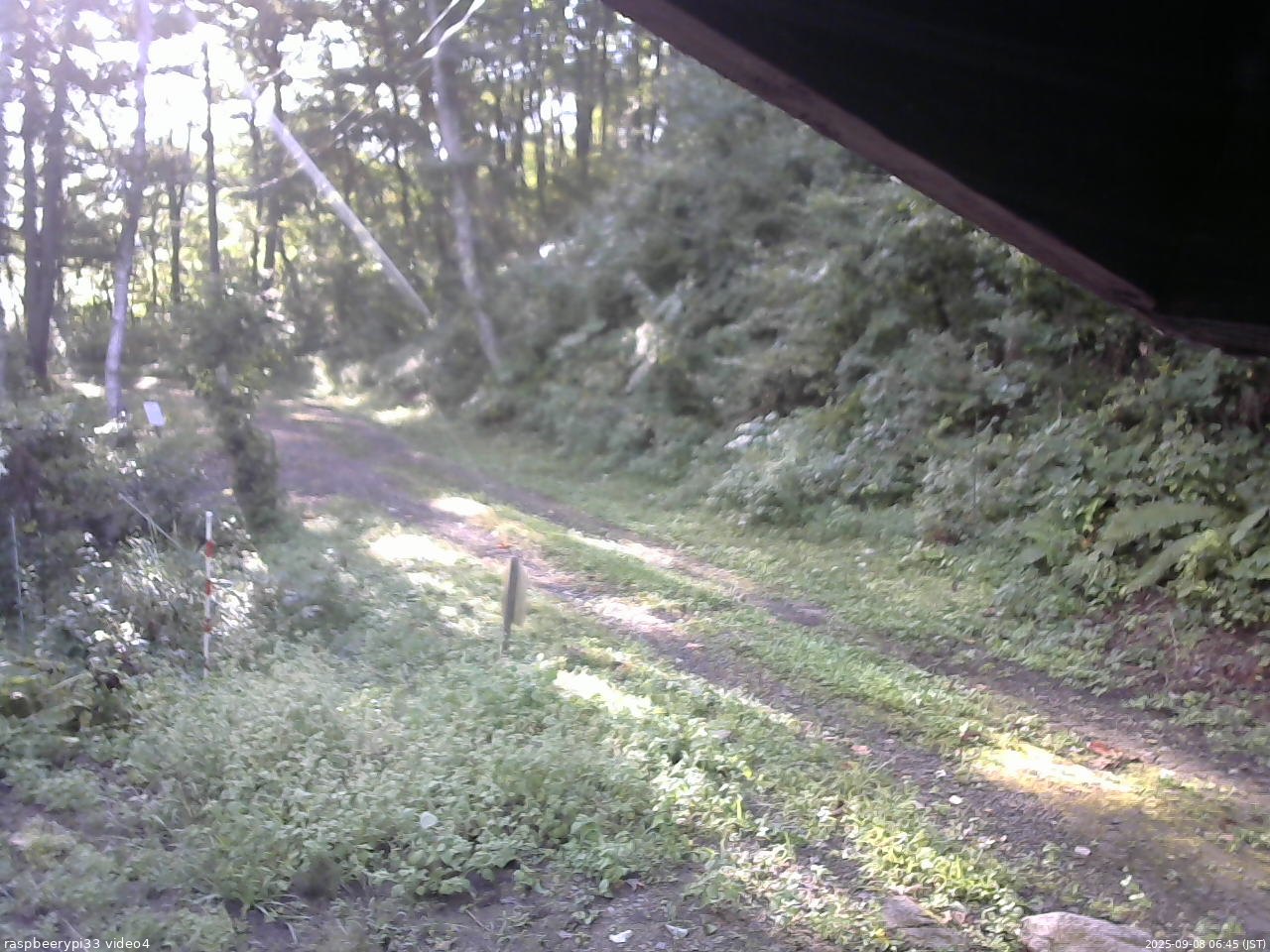 長野県菅平高原 ゆたか山荘 東側(坂下) 2025/09/08 06:45