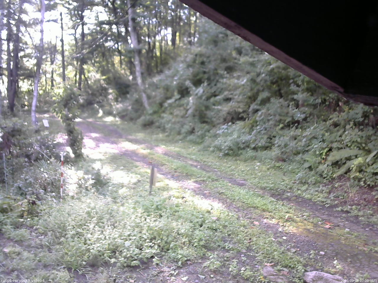 長野県菅平高原 ゆたか山荘 東側(坂下) 2025/09/08 07:00