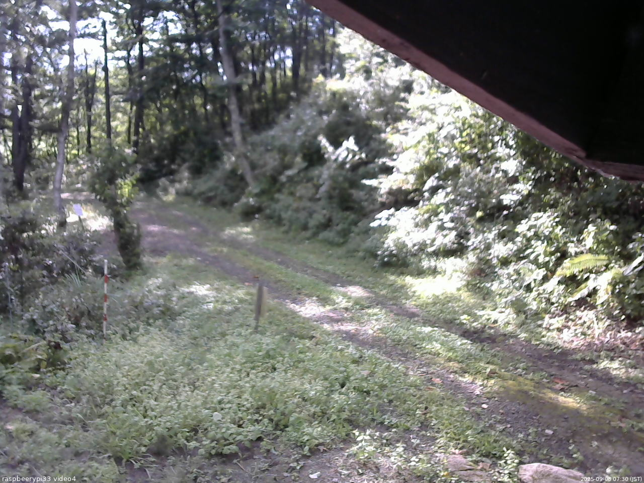 長野県菅平高原 ゆたか山荘 東側(坂下) 2025/09/08 07:30
