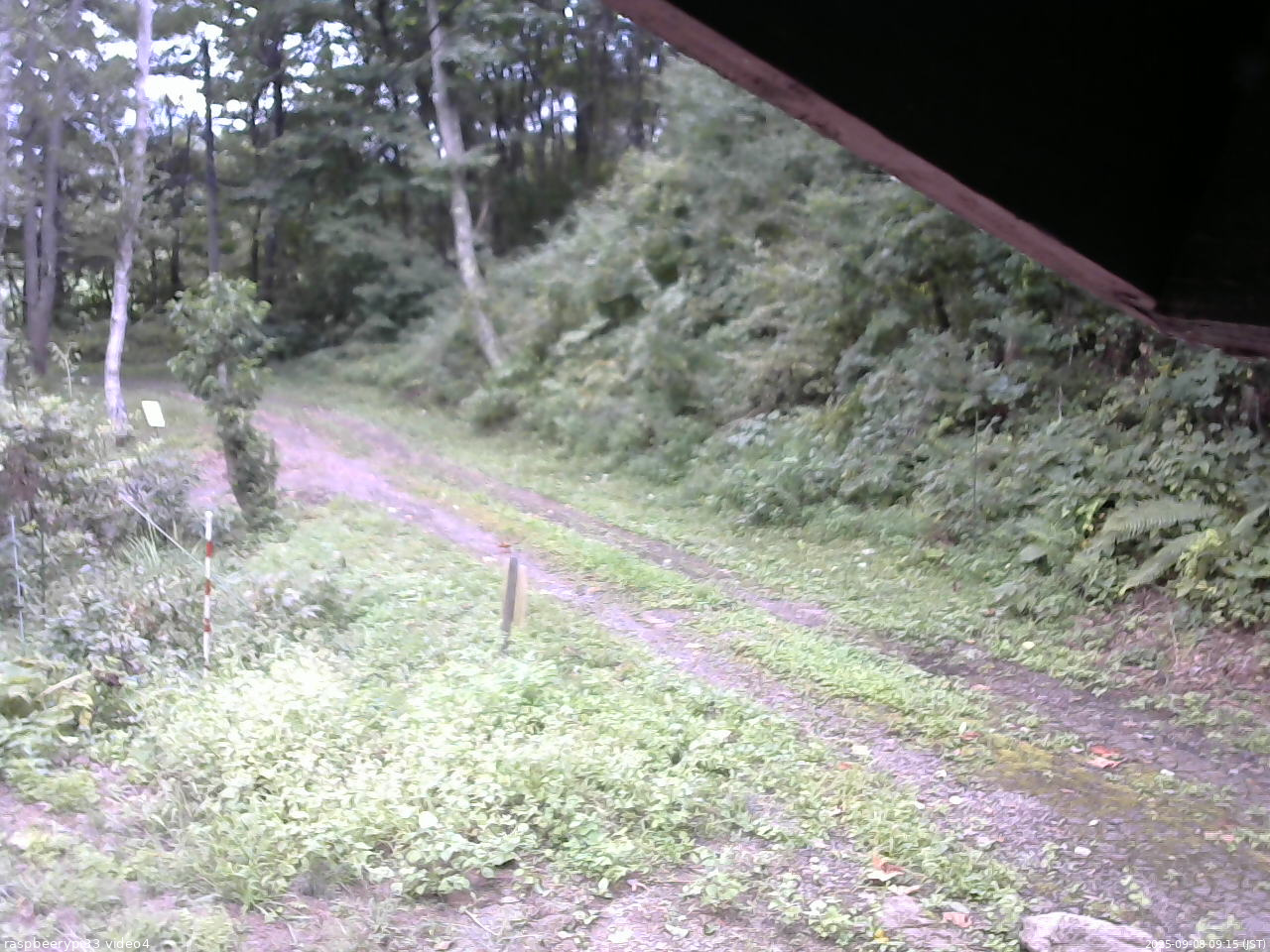 長野県菅平高原 ゆたか山荘 東側(坂下) 2025/09/08 09:15