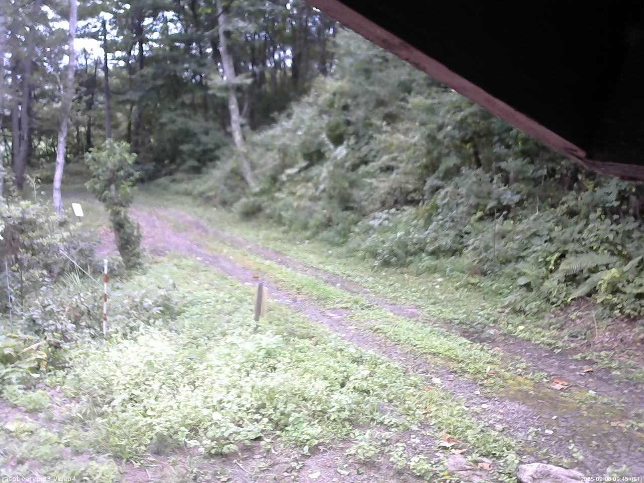 長野県菅平高原 ゆたか山荘 東側(坂下) 2025/09/08 09:45