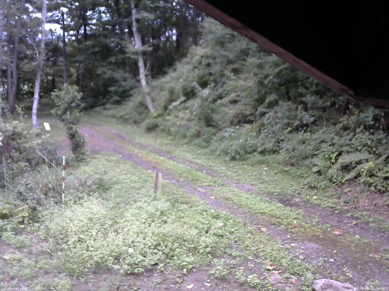 長野県菅平高原 ゆたか山荘 東側(坂下) 2025/09/08 10:00