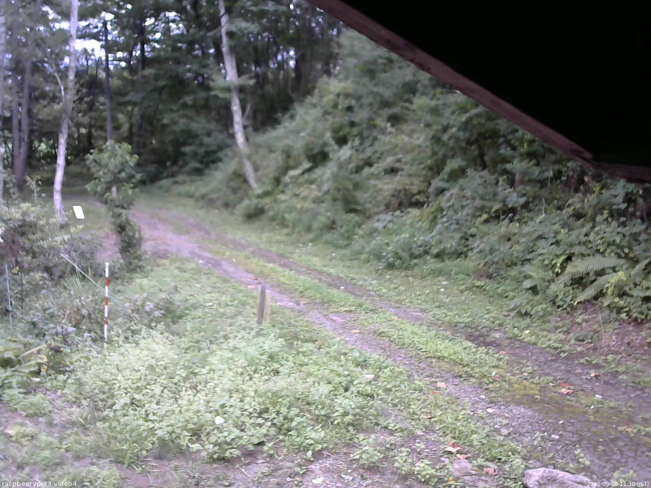 長野県菅平高原 ゆたか山荘 東側(坂下) 2025/09/08 11:30
