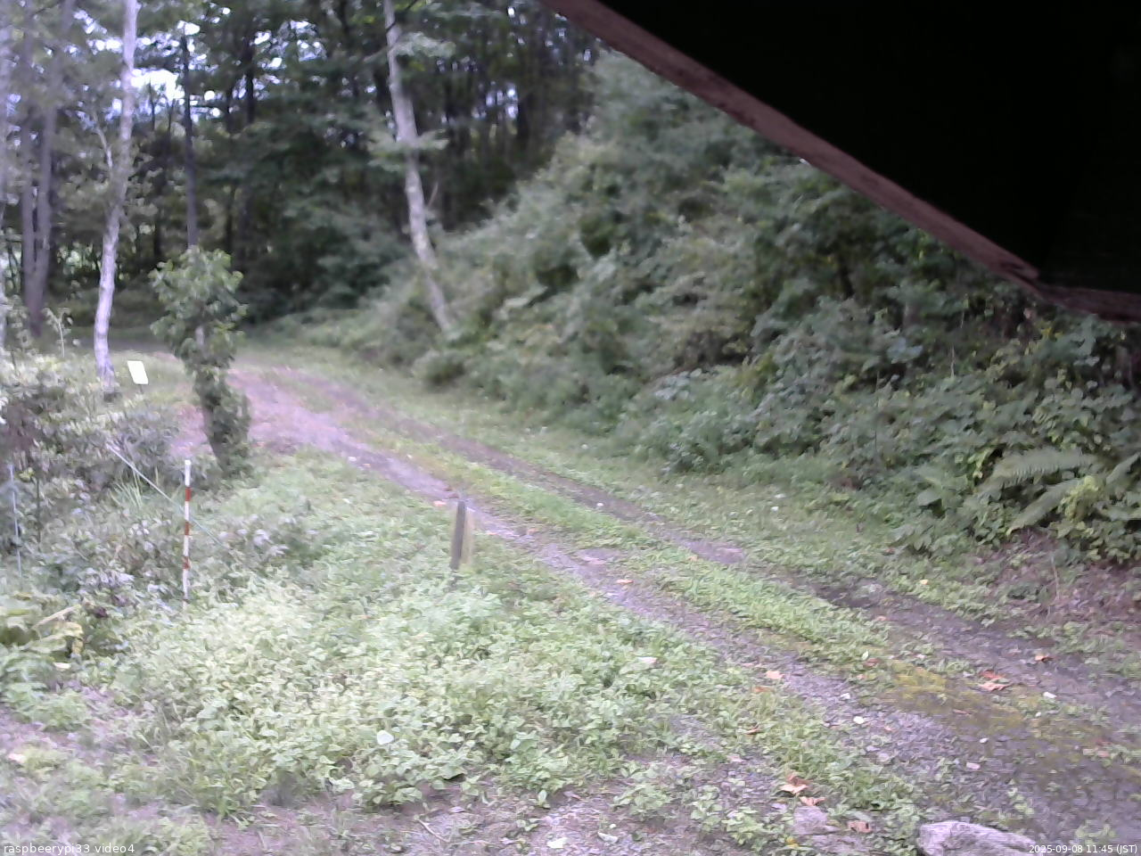長野県菅平高原 ゆたか山荘 東側(坂下) 2025/09/08 11:45