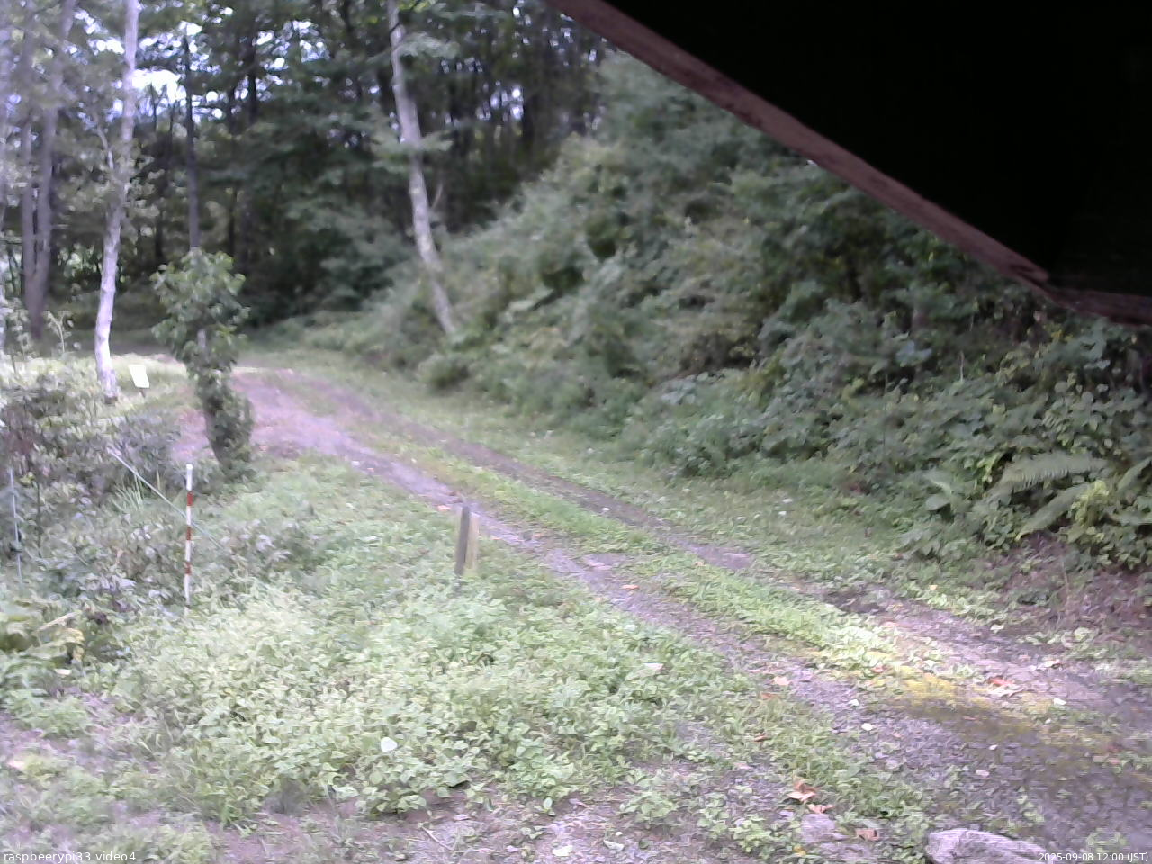 長野県菅平高原 ゆたか山荘 東側(坂下) 2025/09/08 12:00