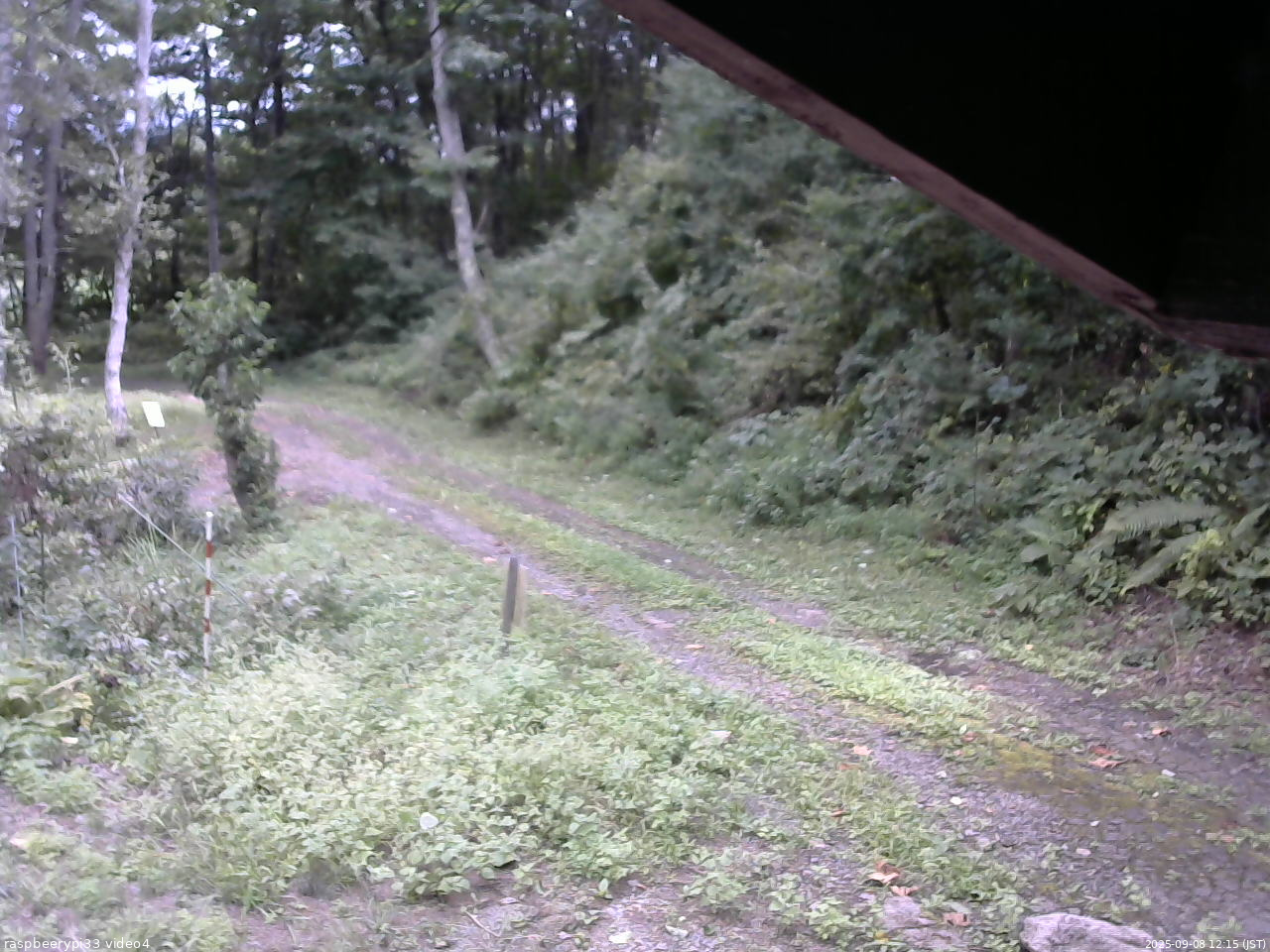 長野県菅平高原 ゆたか山荘 東側(坂下) 2025/09/08 12:15