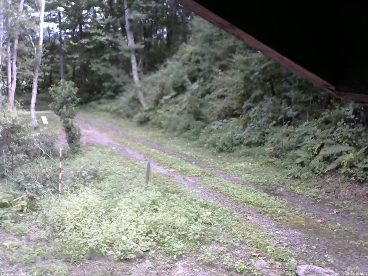 長野県菅平高原 ゆたか山荘 東側(坂下) 2025/09/08 13:45