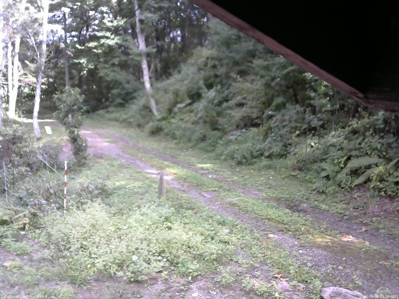 長野県菅平高原 ゆたか山荘 東側(坂下) 2025/09/08 14:00