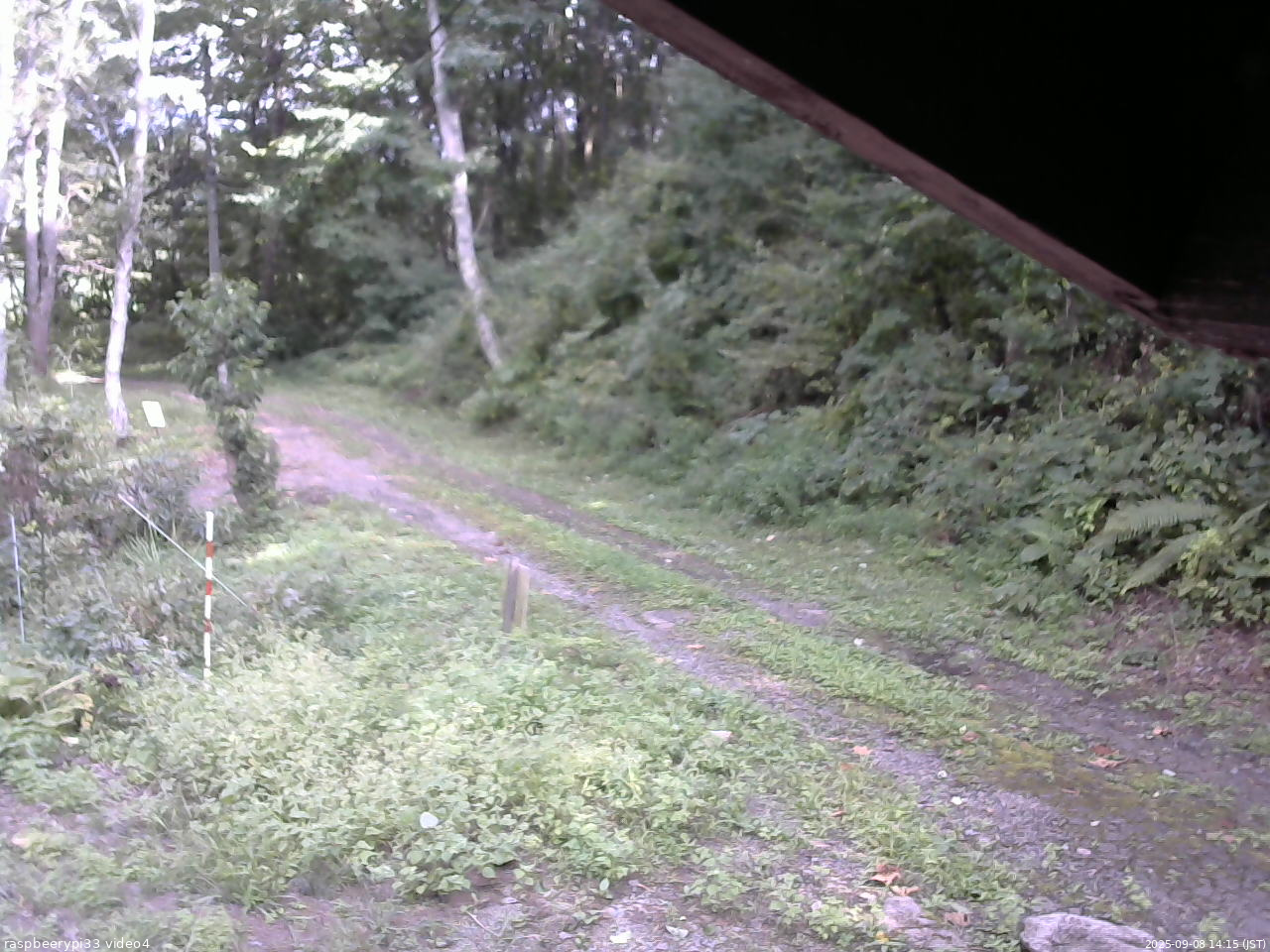 長野県菅平高原 ゆたか山荘 東側(坂下) 2025/09/08 14:15