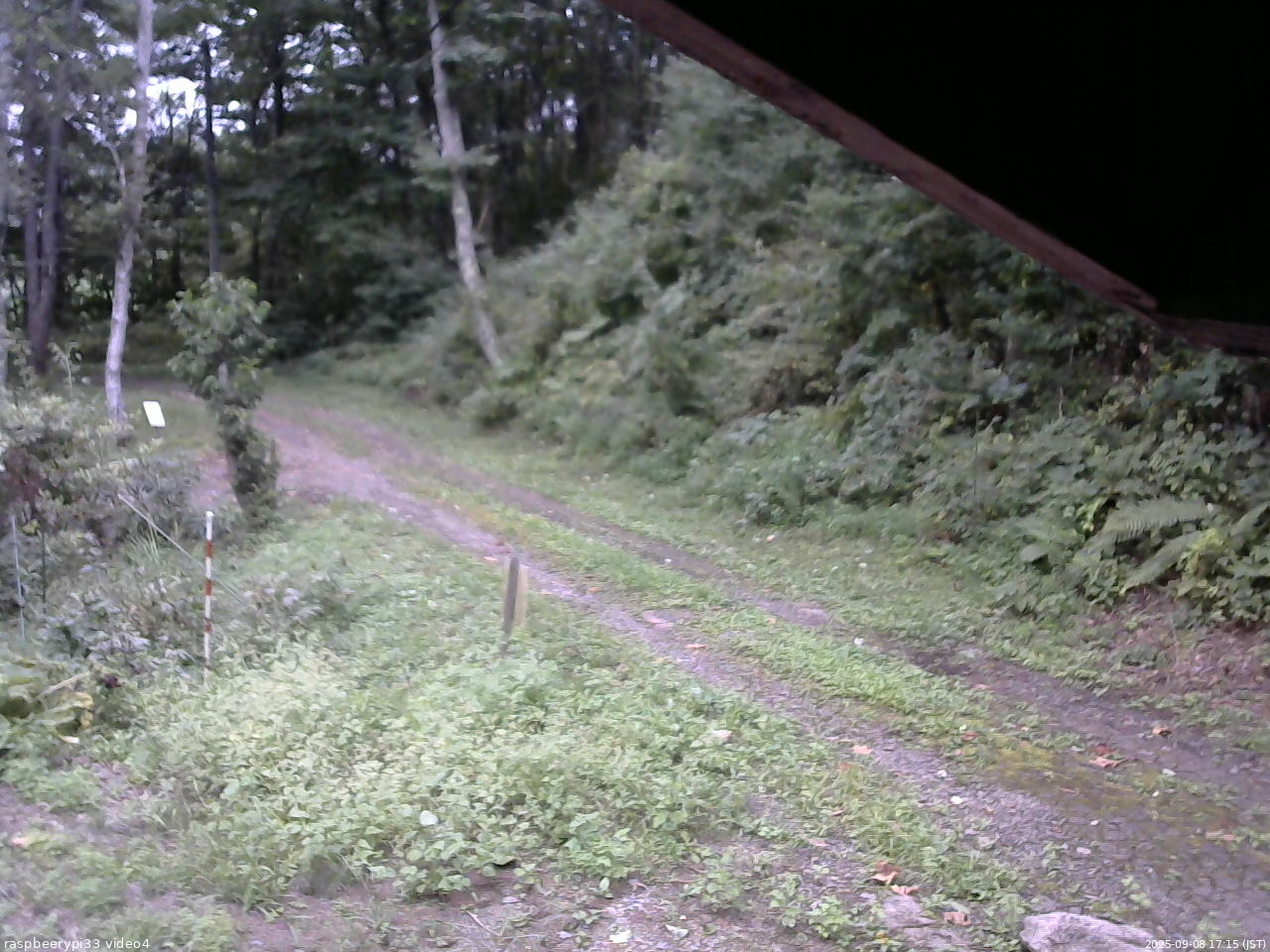 長野県菅平高原 ゆたか山荘 東側(坂下) 2025/09/08 17:15