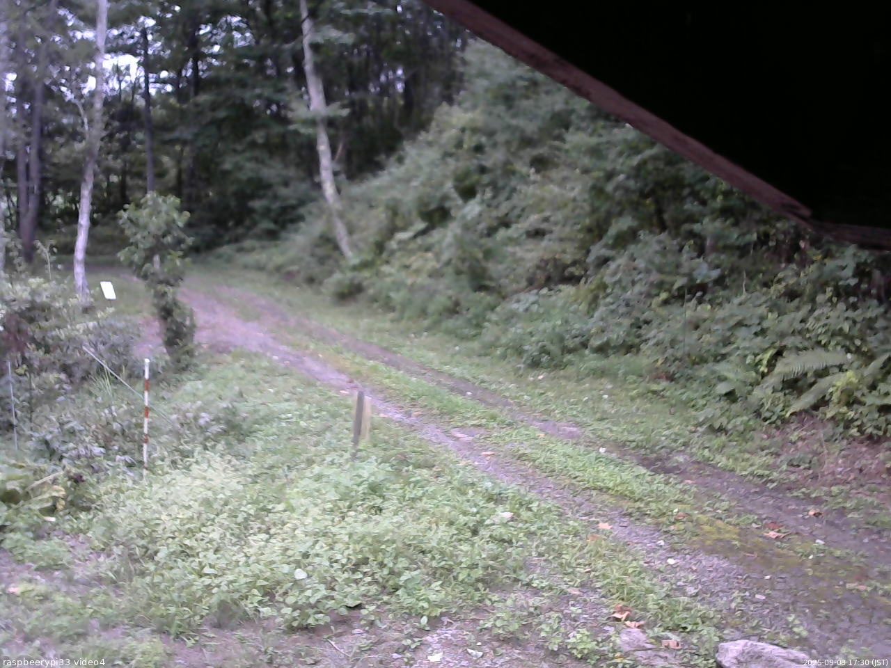 長野県菅平高原 ゆたか山荘 東側(坂下) 2025/09/08 17:30