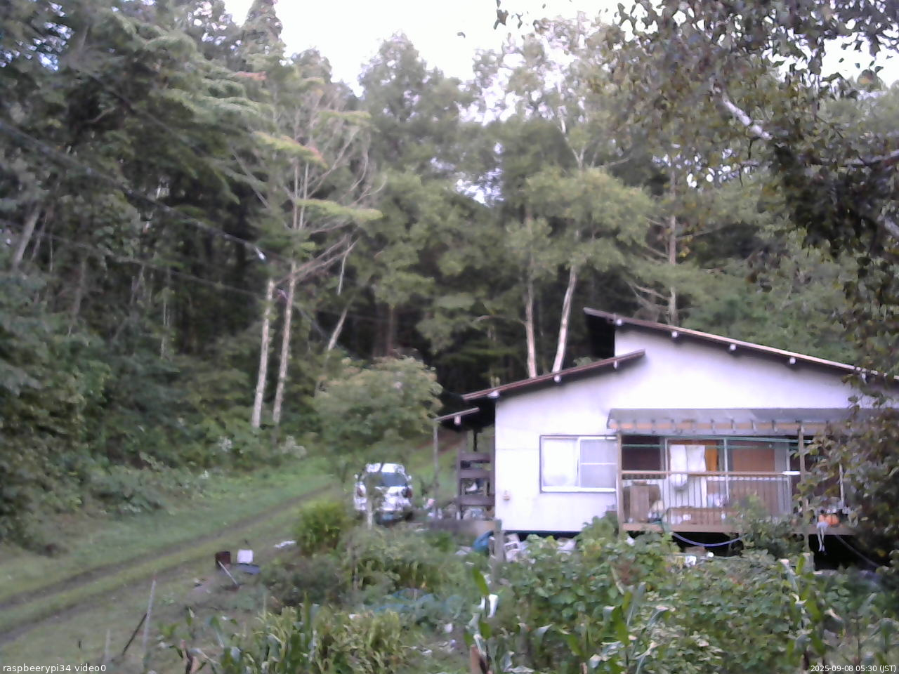 長野県菅平高原 ゆたか山荘 西側(坂上) 2025/09/08 05:30