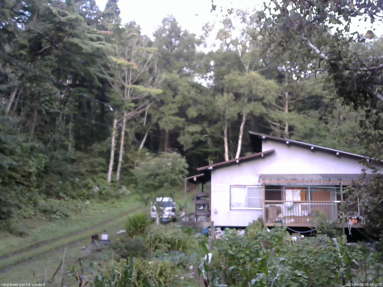 長野県菅平高原 ゆたか山荘 西側(坂上) 2025/09/08 05:45