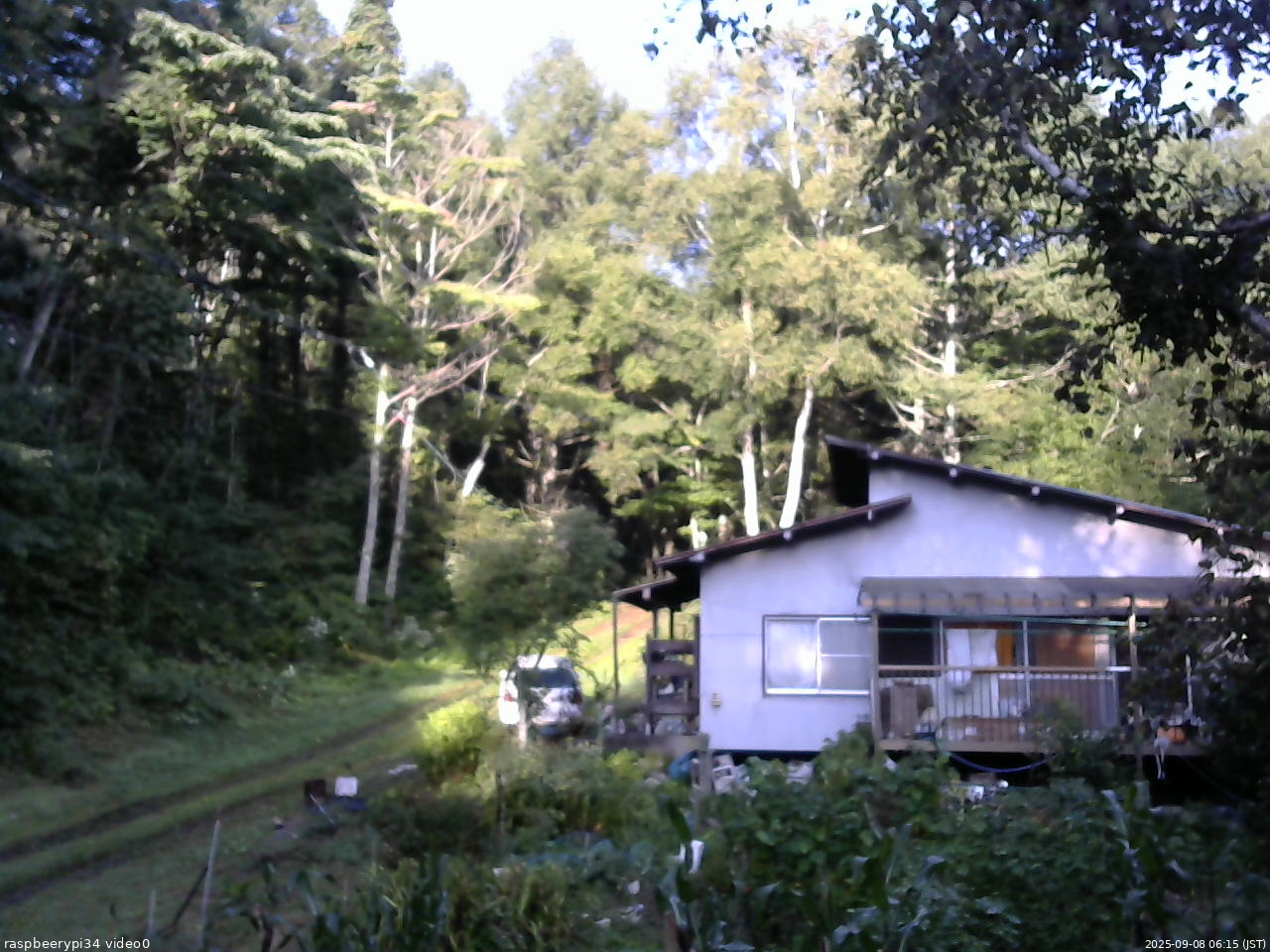 長野県菅平高原 ゆたか山荘 西側(坂上) 2025/09/08 06:15