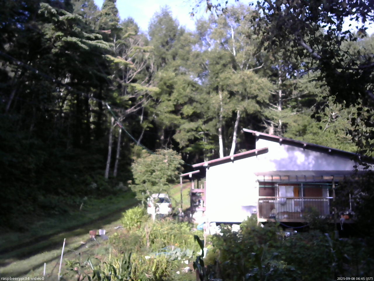 長野県菅平高原 ゆたか山荘 西側(坂上) 2025/09/08 06:45