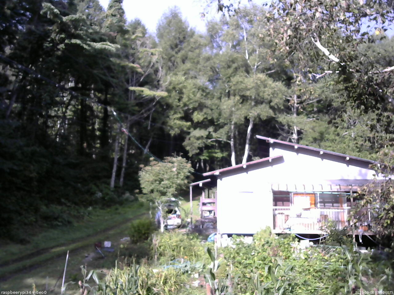 長野県菅平高原 ゆたか山荘 西側(坂上) 2025/09/08 07:30