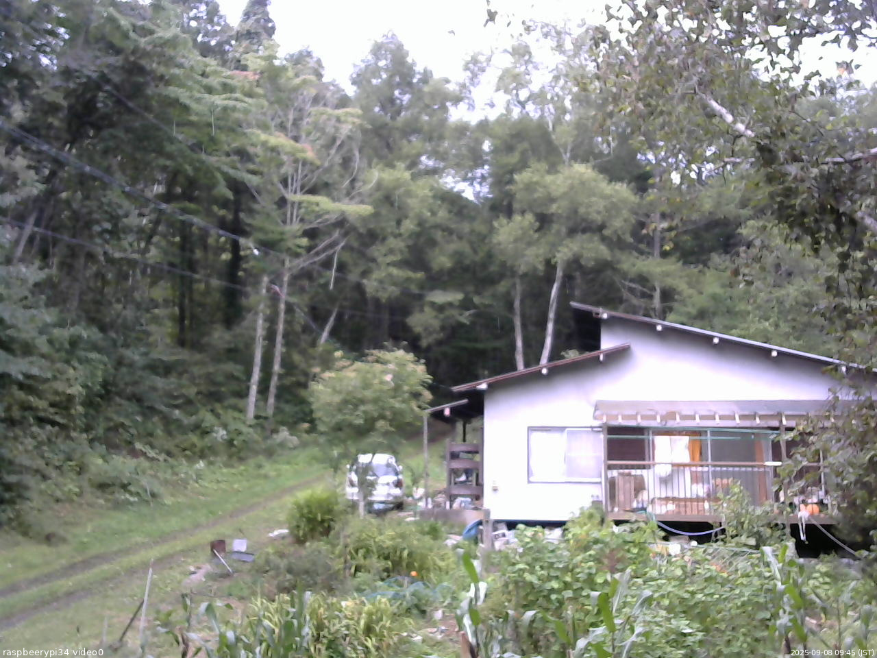 長野県菅平高原 ゆたか山荘 西側(坂上) 2025/09/08 09:45