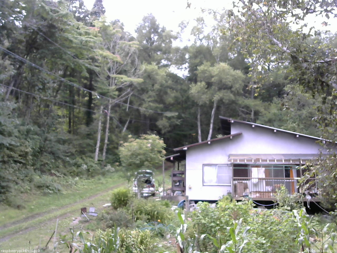 長野県菅平高原 ゆたか山荘 西側(坂上) 2025/09/08 13:00