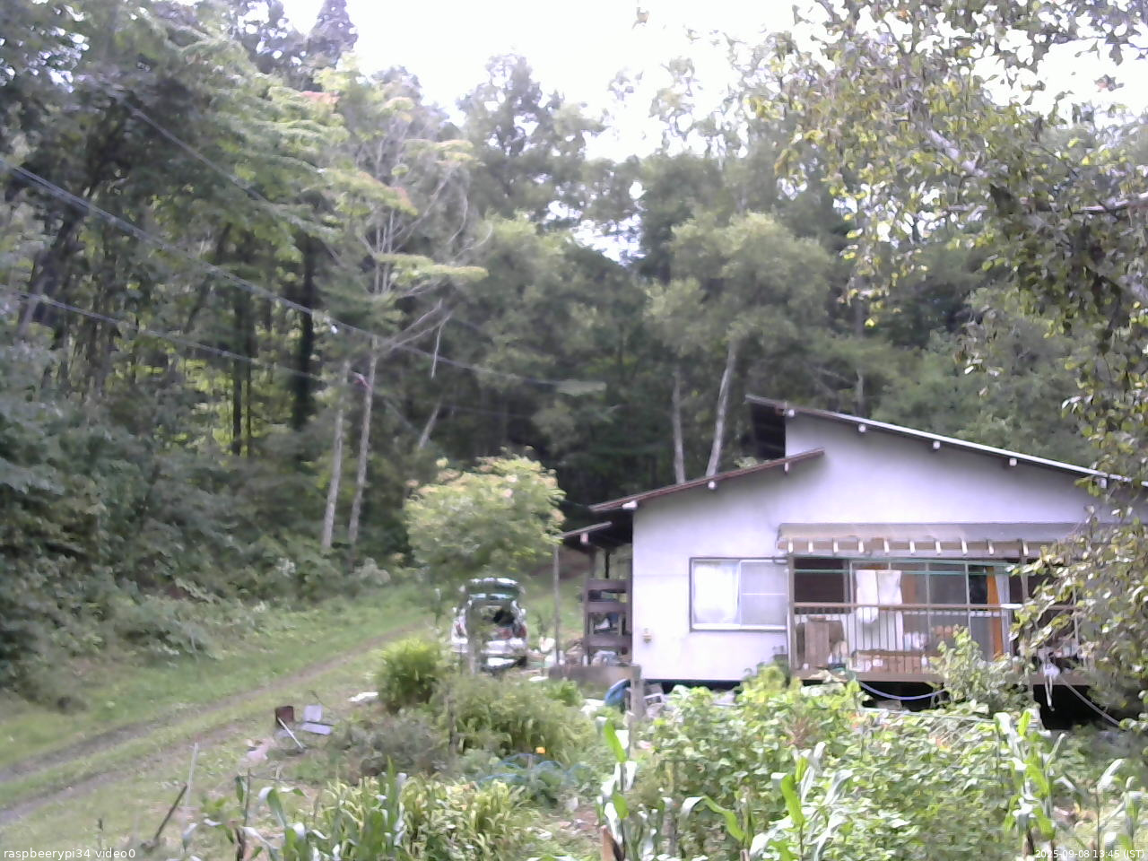 長野県菅平高原 ゆたか山荘 西側(坂上) 2025/09/08 13:45