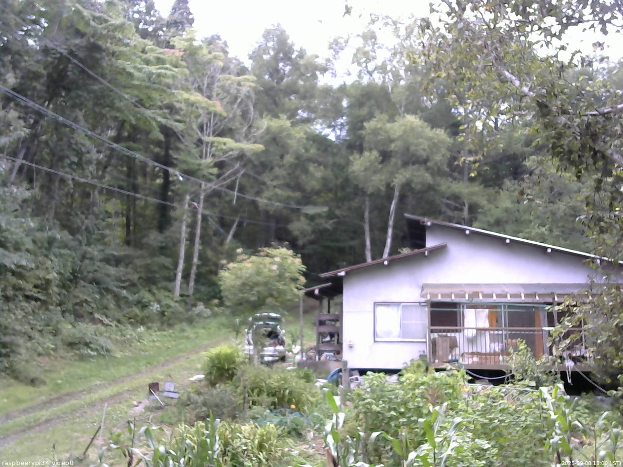 長野県菅平高原 ゆたか山荘 西側(坂上) 2025/09/08 15:00