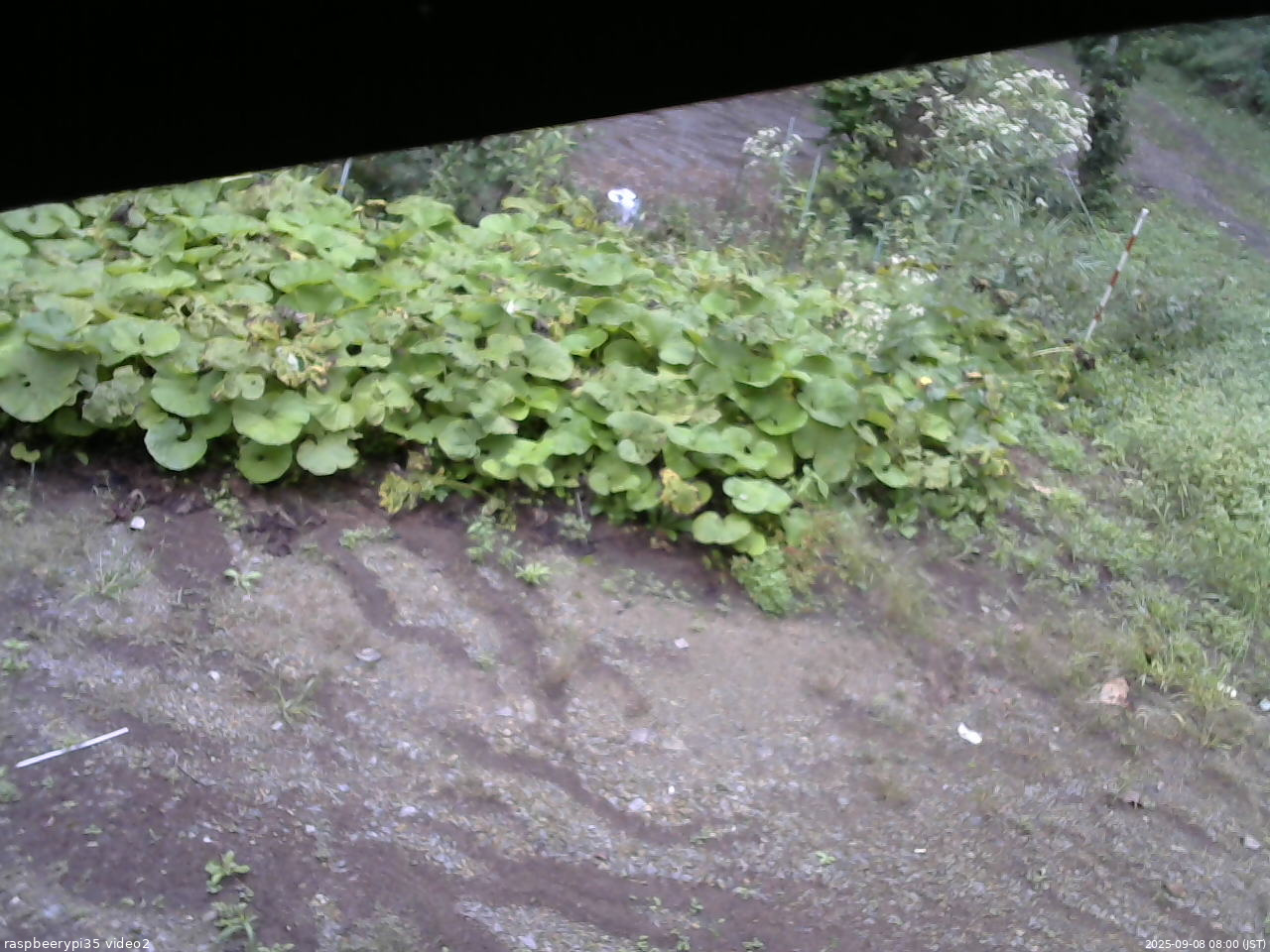 長野県菅平高原 ゆたか山荘 駐車場 2025/09/08 08:00