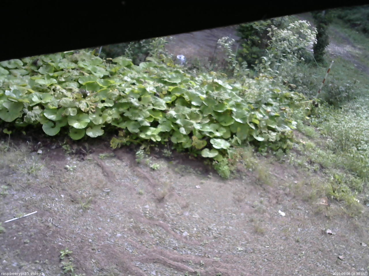 長野県菅平高原 ゆたか山荘 駐車場 2025/09/08 08:30