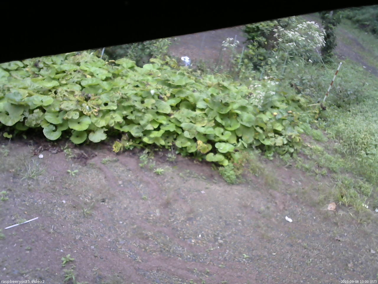 長野県菅平高原 ゆたか山荘 駐車場 2025/09/08 10:00