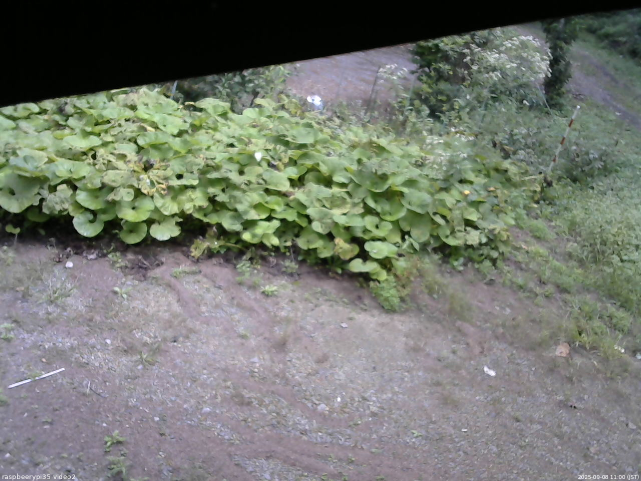 長野県菅平高原 ゆたか山荘 駐車場 2025/09/08 11:00
