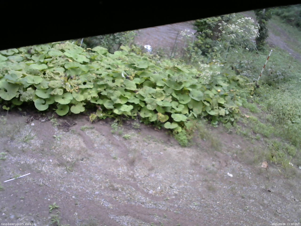 長野県菅平高原 ゆたか山荘 駐車場 2025/09/08 13:30